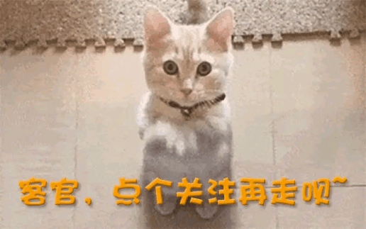 一中产最爱的电商平台停运曾叫板淘宝！麻将胡了试玩烧光3000万美元！又(图7)